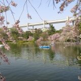 【観光】千葉公園