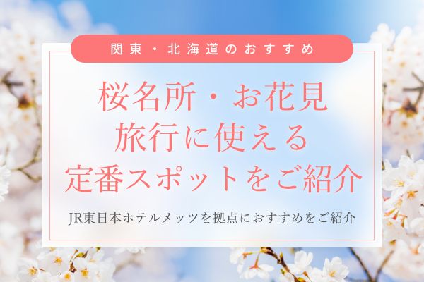 【2026年】神奈川の桜名所・お花見スポット