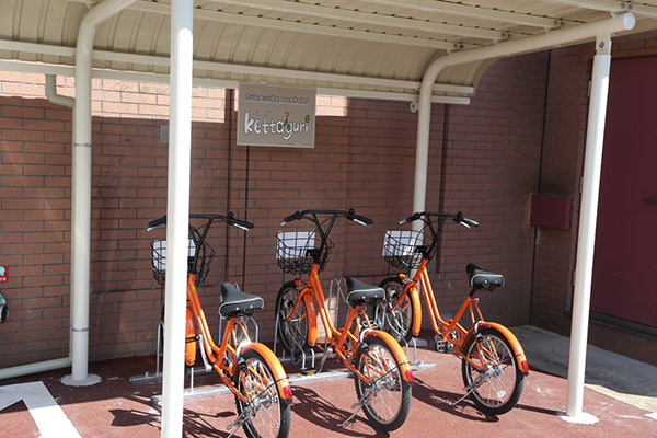 Bicycle Rental