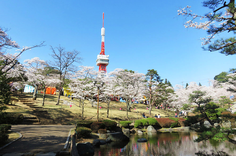 八幡山公園