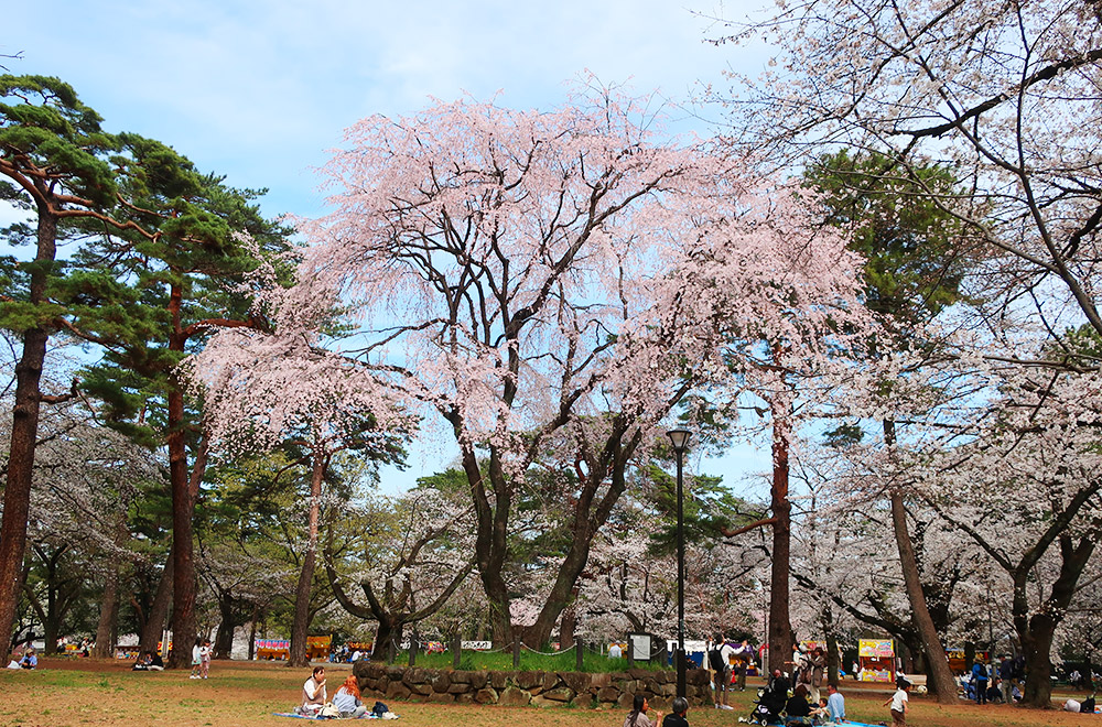 大宮公園